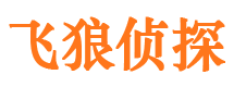 临湘外遇出轨调查取证